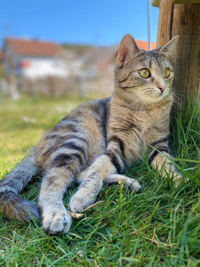 Naturspiel Posing